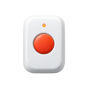 Panic button